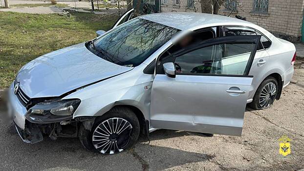 В Херсонской области задержаны нетрезвый водитель и его пассажир, оскорблявший полицейских