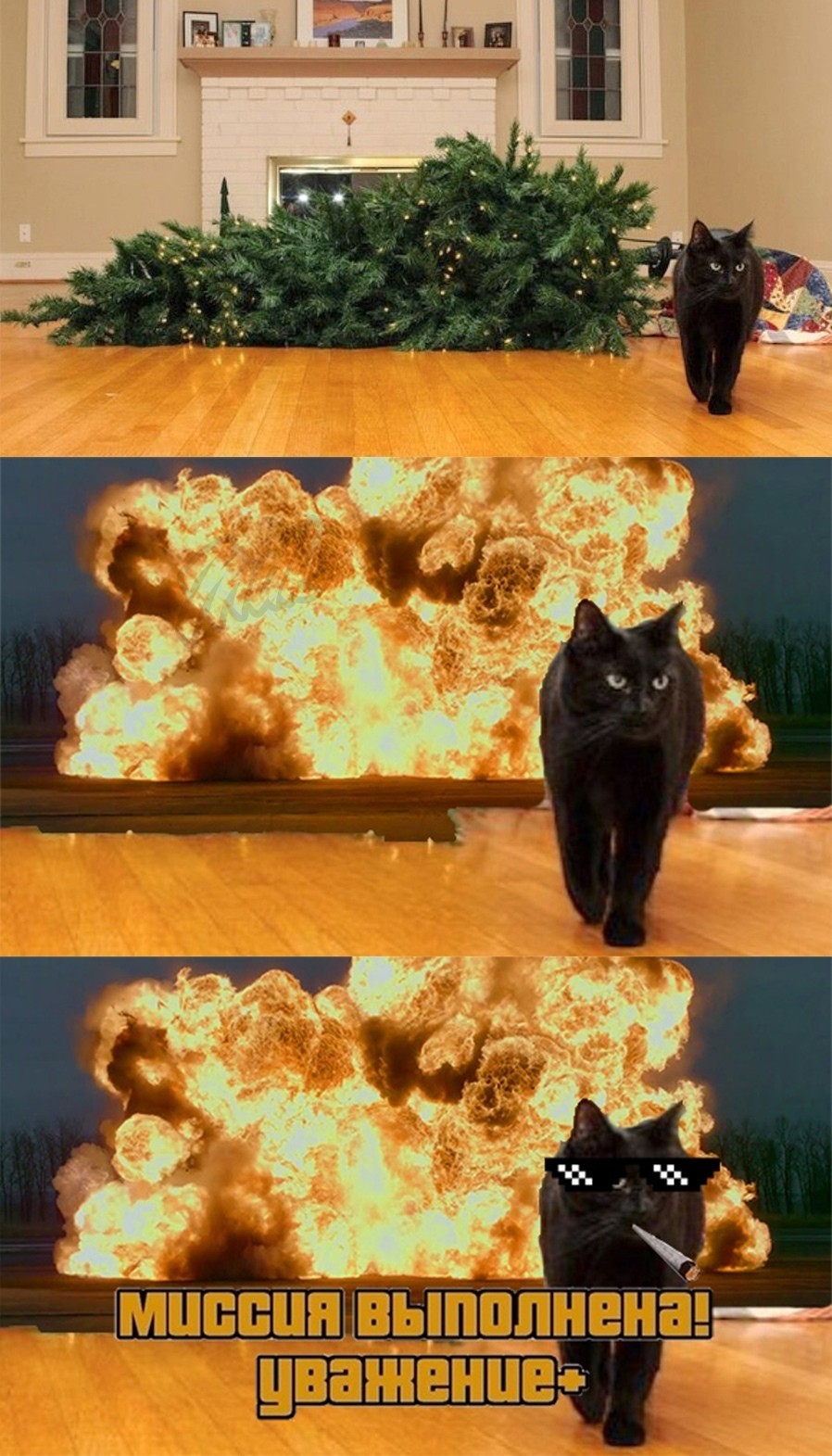 Шта? Котэ Елка НГ косоглазие / смешные картинки и другие приколы: комиксы, гиф а