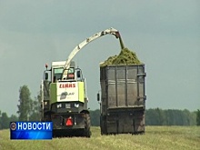 В Башкортостане сельхозработы отстают на 2,5 недели