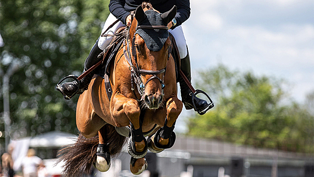 Еще четыре российских всадницы получили нейтральный статус
