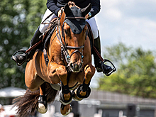 Еще четыре российских всадницы получили нейтральный статус