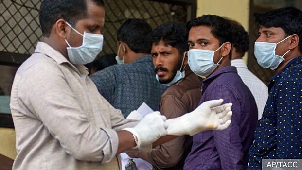 Академик Гинцбург: От особо опасного вируса Нипах не существует лекарства