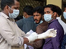 Академик Гинцбург: От особо опасного вируса Нипах не существует лекарства