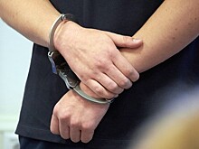 Арестованный в США россиянин Никитин признал вину
