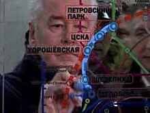 Собянин уверенно победил во всех "оппозиционных" округах Москвы