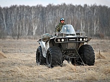 В России автомобилистам разрешат управлять болотоходами и багги