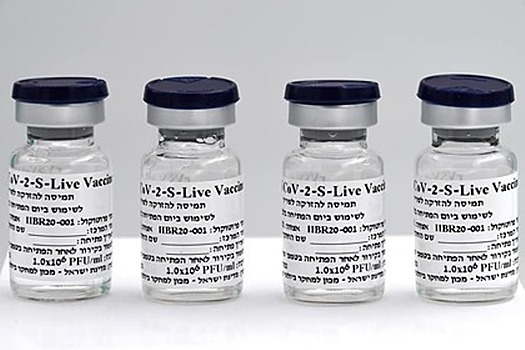 Израиль испытает собственную вакцину