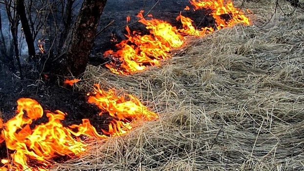На Кубани продлили экстренное предупреждение о пожароопасности