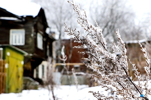 Прогноз погоды. Ветер понизит градусы до -10… -13 °С