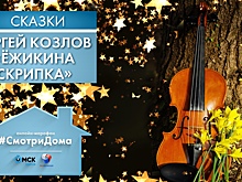 Слушаем сказку об упорном Ёжике и скрипке