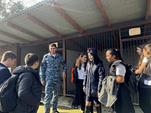 В Северной Осетии полицейские Дигорского района познакомили школьников со своими четвероногими напарниками