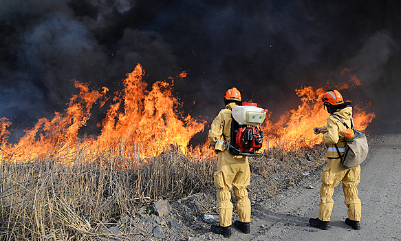 25 тысяч гектаров Сибири в огне