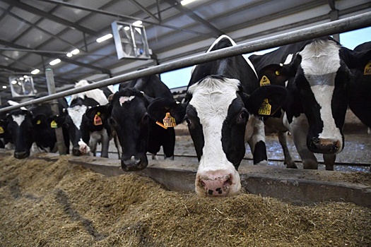 В Саратовской области увеличилось количество инвестиционных предложений