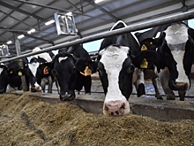 В Саратовской области увеличилось количество инвестиционных предложений