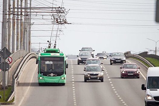 «Вы ведёте себя как животные»: в Калининграде из троллейбуса высадили пассажира без маски