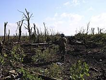 В США активизировали усилия по изъятию российских активов для помощи Украине