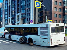 Индикатор «успеха» смольнинских реформаторов: «Город перемен» о росте ДТП с участием автобусов