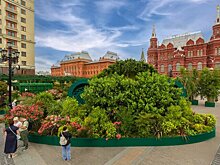 Какие удивительные пейзажи можно увидеть в Москве на фестивале "Сады и цветы"