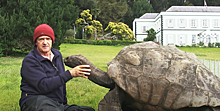 На острове Святой Елены обнаружена старейшая в мире черепаха