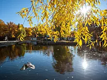 Погода на 25 сентября 2025 года: народные приметы и прогноз синоптиков