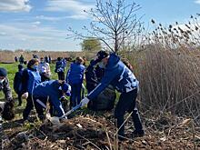 На Кубани по инициативе школьников провели субботник