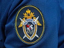 В Волховском районе проводится проверка по факту травмирования несовершеннолетнего
