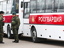 Белгородские депутаты предложили доверить охрану школ Росгвардии