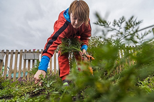 Почвовед Наталья Смирнова предрекла богатый урожай-2025 дачникам Новосибирска