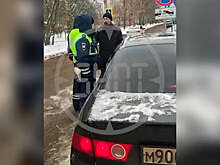В Москве задержали водителя, который сбил инспектора ДПС