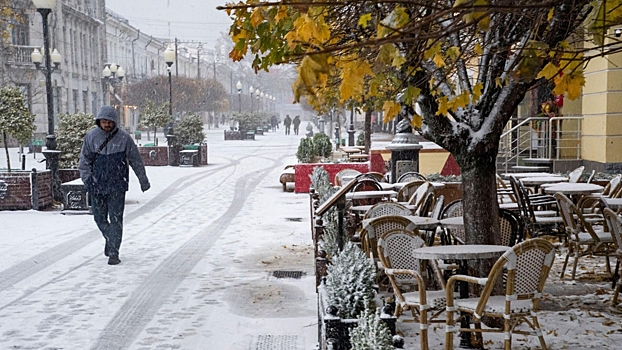 Городские службы работают в усиленном режиме из-за непогоды в Москве