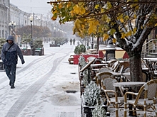 Городские службы работают в усиленном режиме из-за непогоды в Москве