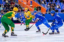 «Динамо» Москва обыграло «Водник» и стало чемпионом России по хоккею с мячом в 9-й раз