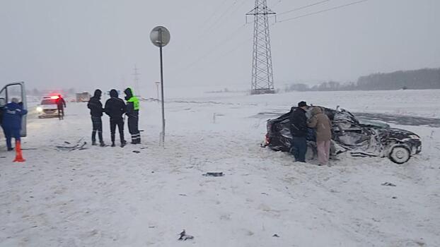 В Рязанской области ребенок погиб в ДТП с автобусом и легковым автомобилем