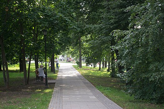 Реконструкцию главного городского парка в Жуковском планируется завершить в октябре