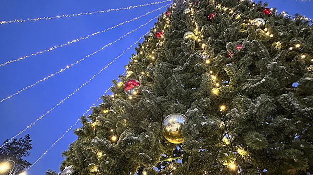 Столетняя елка Петербурга украсит Дворцовую площадь в ретро-стиле