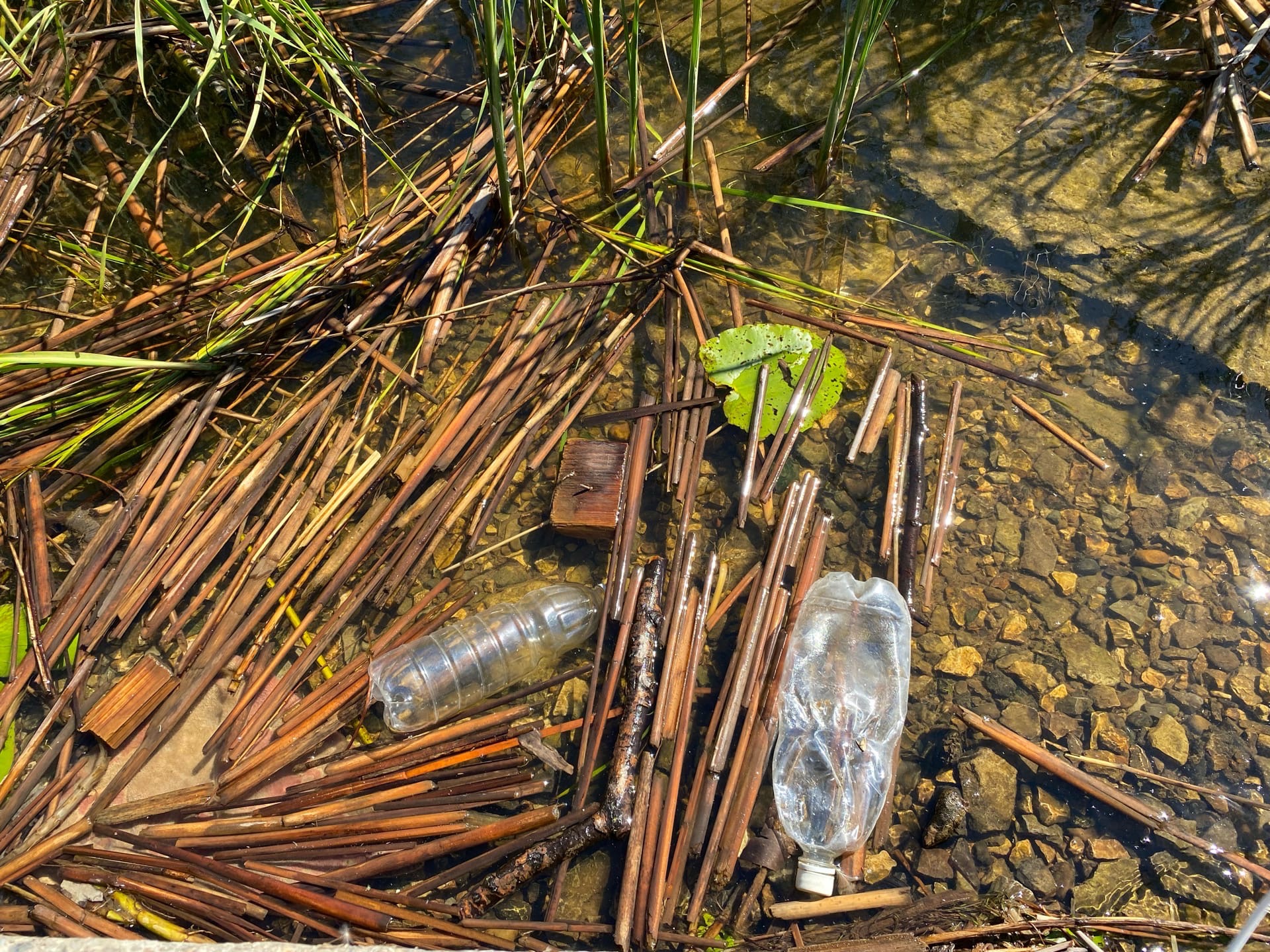 Специалисты Минприроды Удмуртии проверили место слива тёмной воды в Ижевский пруд