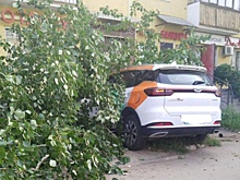 Смертельное ДТП с каршерингом на проспекте Ленина закончилось уголовным делом