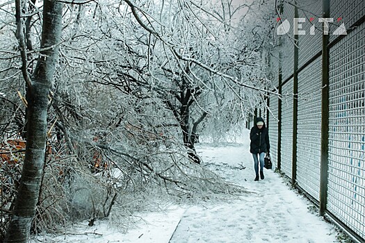 Аномальные морозы задержатся в Приморье