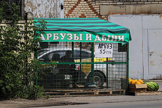 Диетолог Соломатина назвала риски употребления ранних арбузов