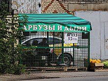 Диетолог Соломатина назвала риски употребления ранних арбузов