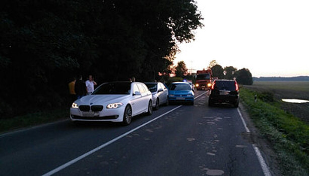 При столкновении пяти машин под Холмогоровкой пострадали два человека (видео)