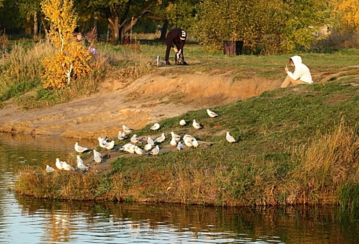 В Омске разрешили построить турбазу рядом с парком Победы