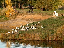 В Омске разрешили построить турбазу рядом с парком Победы