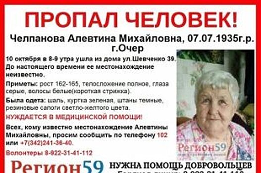 В Прикамье без вести пропала 84-летняя пенсионерка