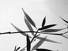 Выставку монохромной японской живописи открыли в ЮЗАО