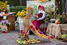 Лучшие плоды и цветы Челябинска соберут в парке Гагарина