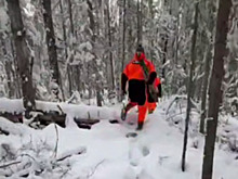 Раненого пожилого охотника обнаружили в глухом уголке тайги