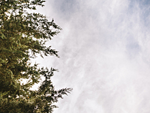 Двоих погибших в Байкальске подростков похоронят в один день с возможным убийцей