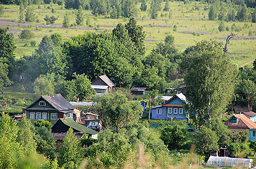 Как поможет российскому селу новая госпрограмма?