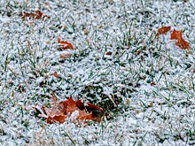 Сочи готовится к заморозкам и гололедице